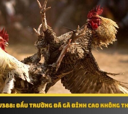 Sảnh Sv388 – Đấu Trường Đá Gà Đỉnh Cao Không Thể Bỏ Lỡ