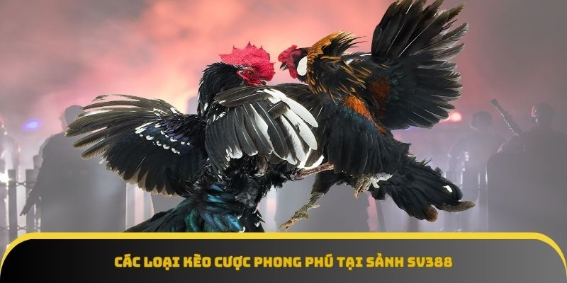 Sảnh Sv388 có đa dạng trong các loại kèo cược